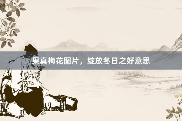 果真梅花图片，绽放冬日之好意思